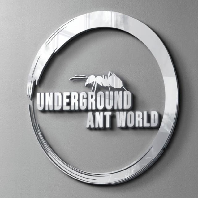 Underground Ant World